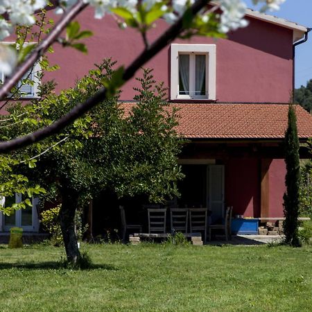 Agriturismo Campoletizia Miglianico ภายนอก รูปภาพ