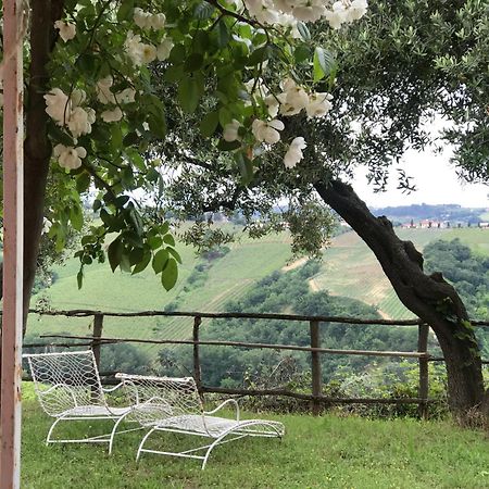 Agriturismo Campoletizia Miglianico ภายนอก รูปภาพ