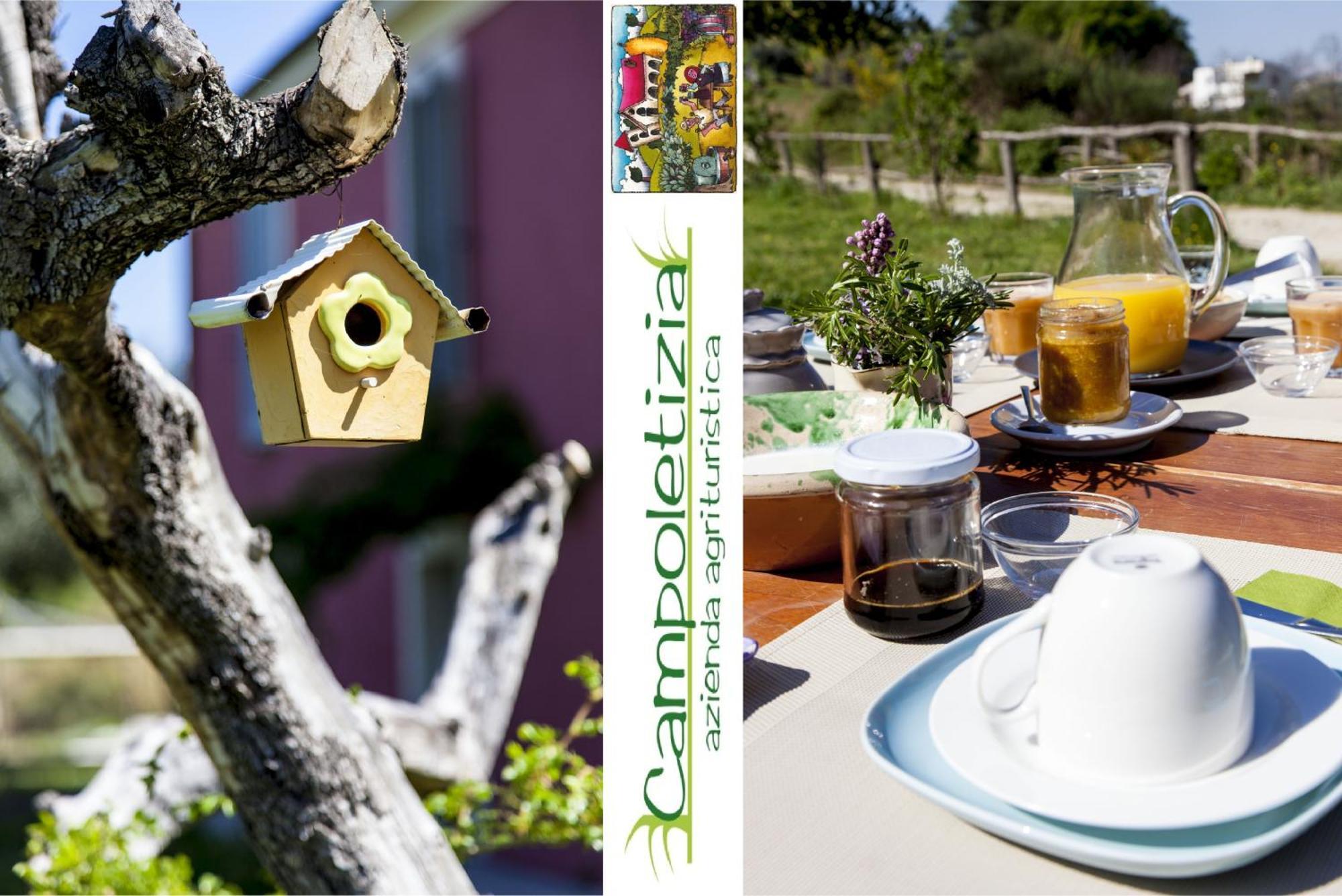 Agriturismo Campoletizia Miglianico ภายนอก รูปภาพ
