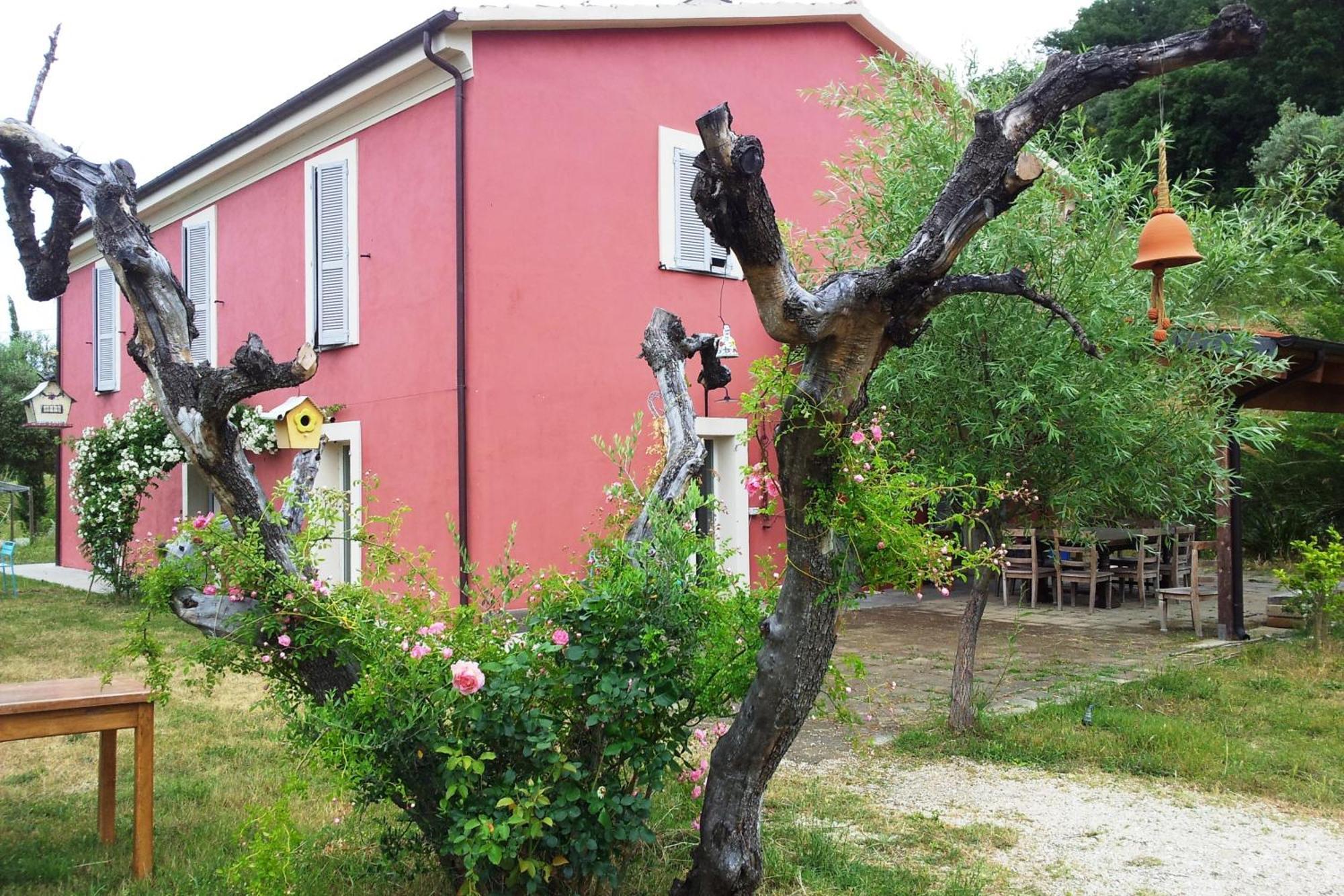 Agriturismo Campoletizia Miglianico ภายนอก รูปภาพ