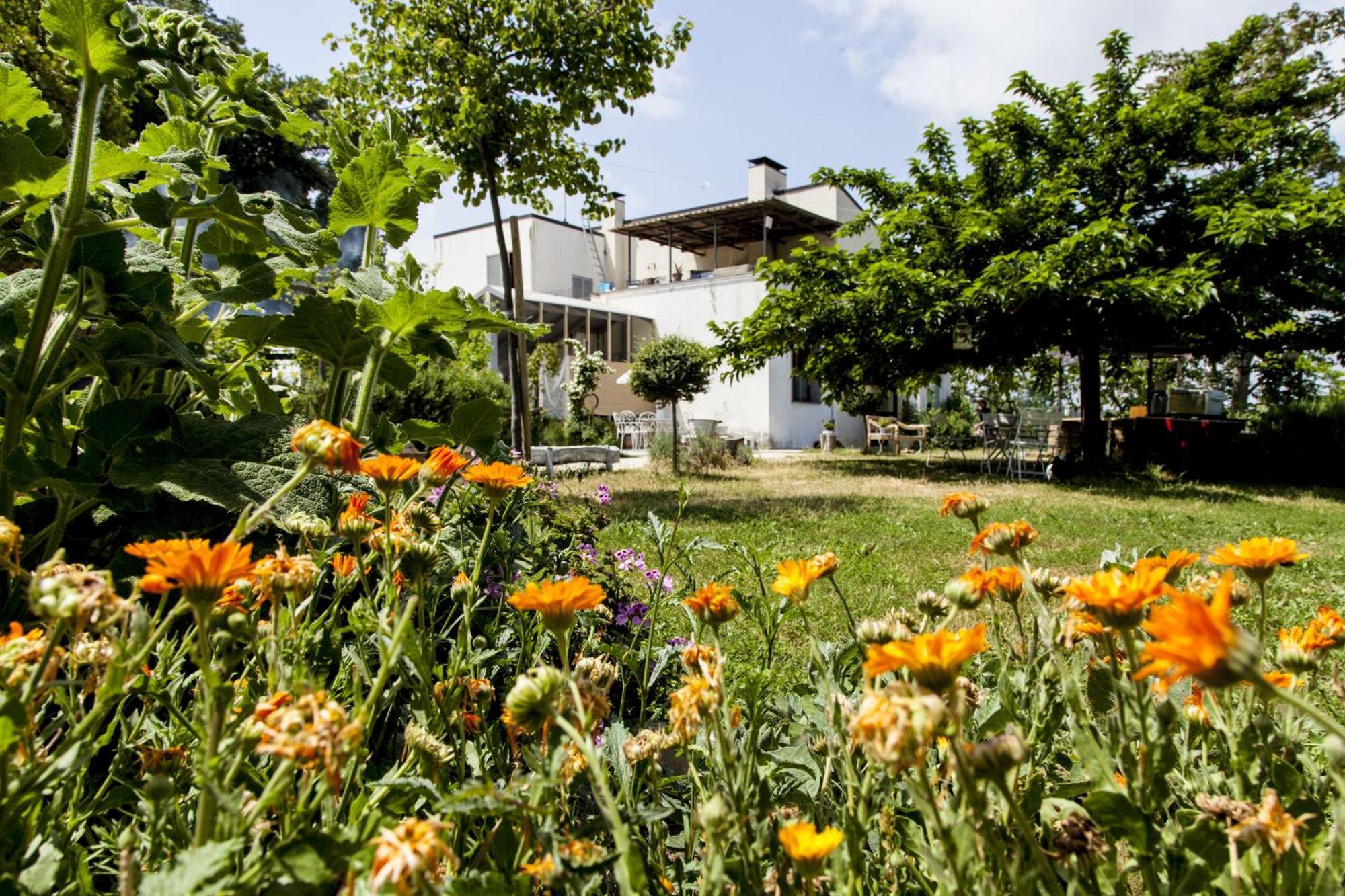 Agriturismo Campoletizia Miglianico ภายนอก รูปภาพ