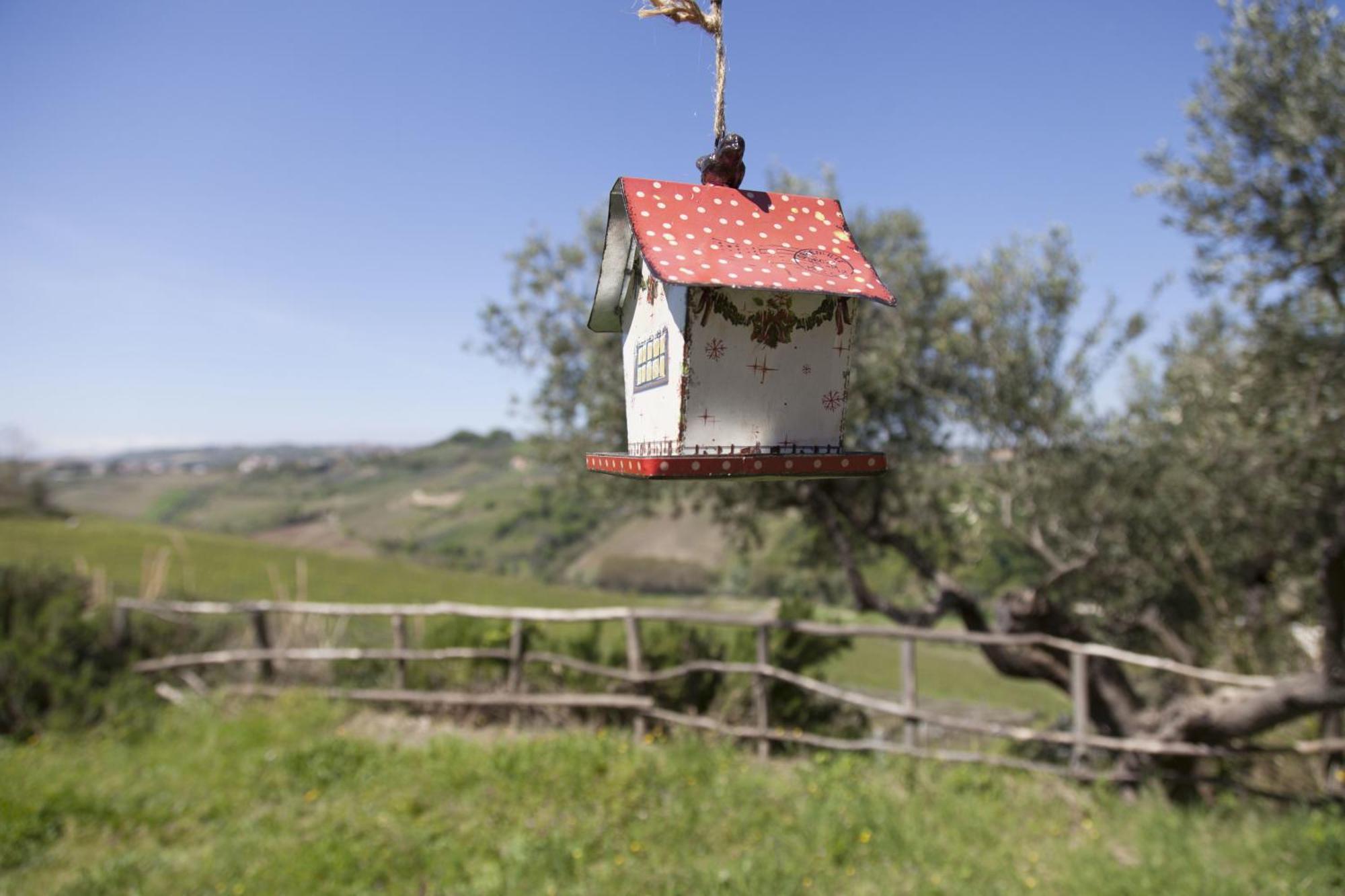 Agriturismo Campoletizia Miglianico ภายนอก รูปภาพ