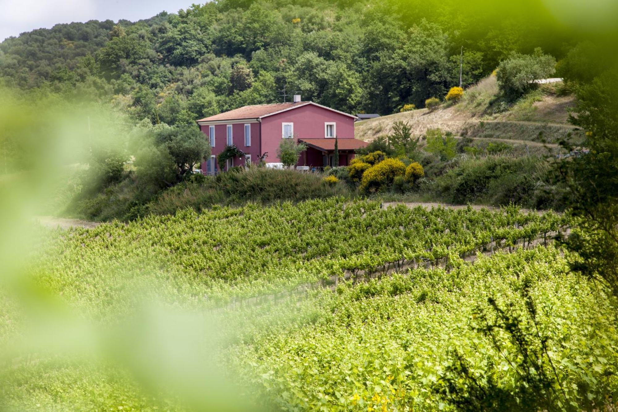 Agriturismo Campoletizia Miglianico ภายนอก รูปภาพ
