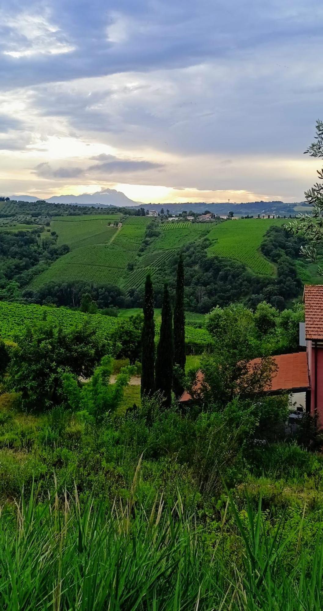 Agriturismo Campoletizia Miglianico ภายนอก รูปภาพ
