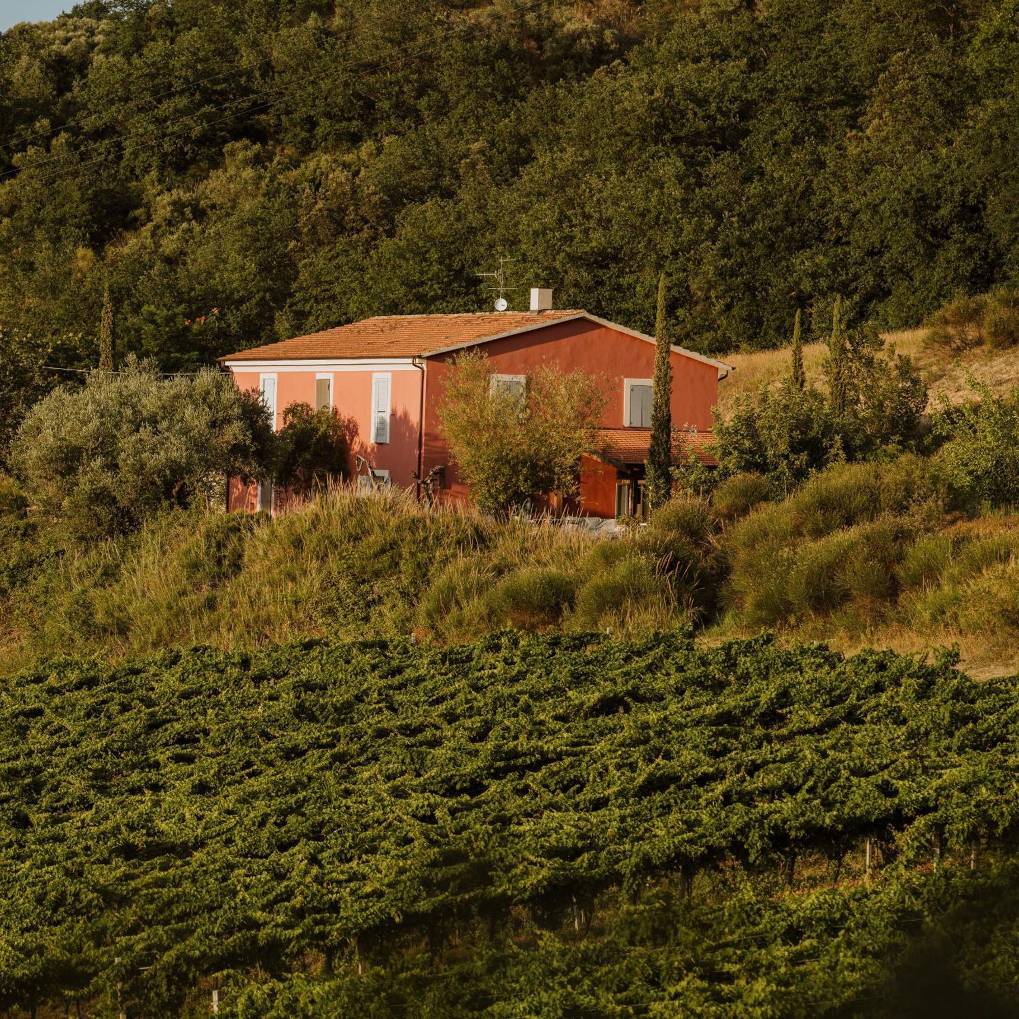 Agriturismo Campoletizia Miglianico ภายนอก รูปภาพ
