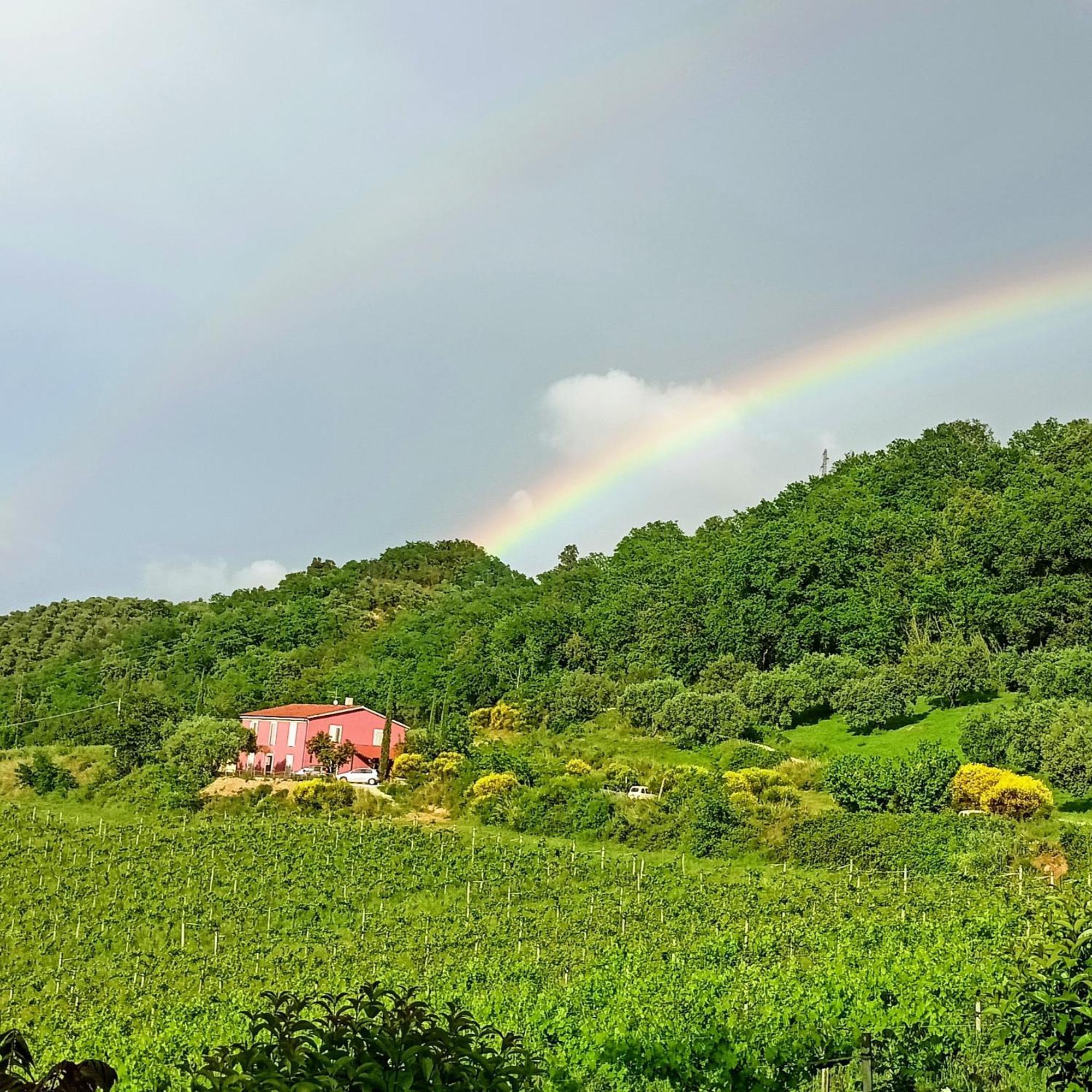 Agriturismo Campoletizia Miglianico ภายนอก รูปภาพ